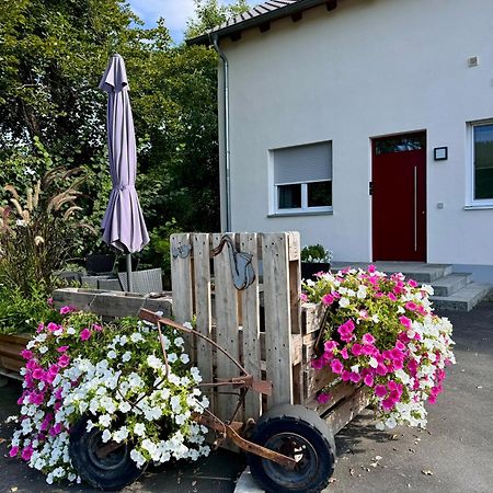 Ferienwohnungen Frank Segnitz Kültér fotó