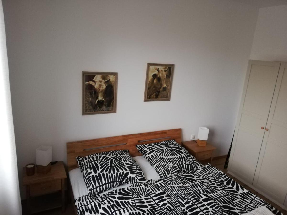 Ferienwohnungen Frank Segnitz Kültér fotó